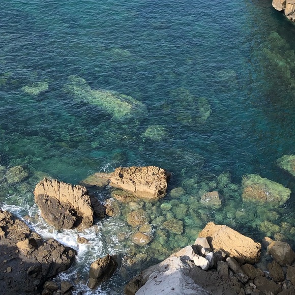 Meet your Posher, Ella - Picture 1 of 1